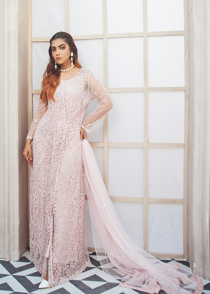 Model Wearing powder pink net gown -2