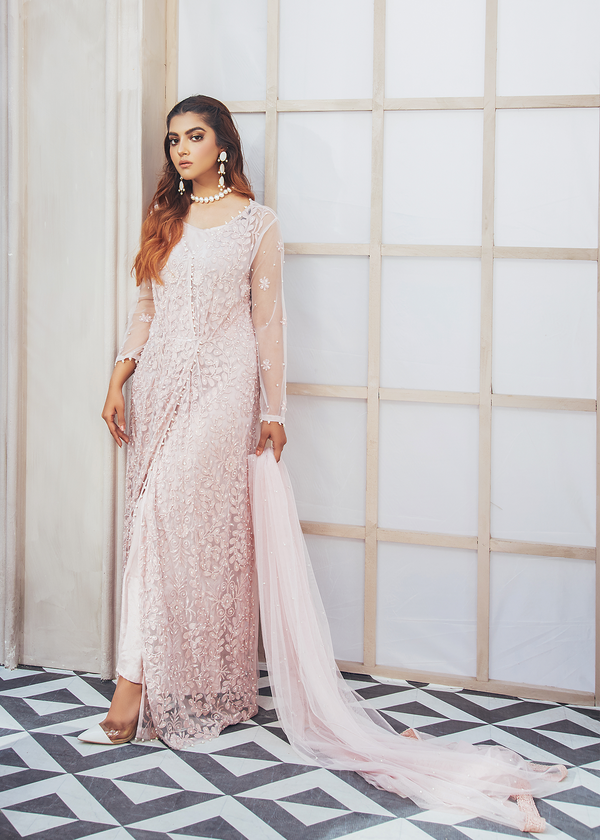 Model Wearing powder pink net gown -1 